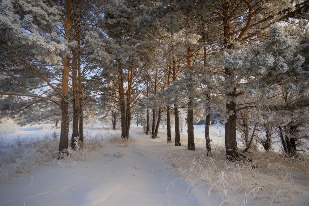 Photograph by виктор ковчин