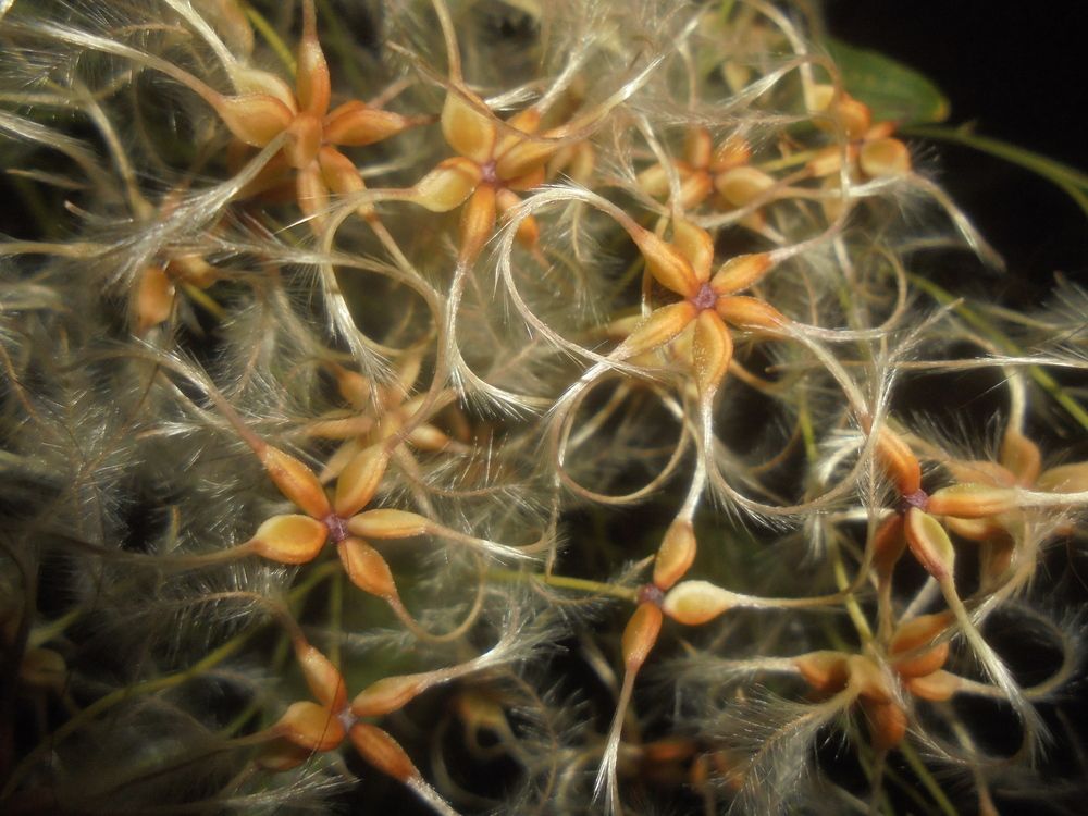 Photograph by Лилия Исхакова