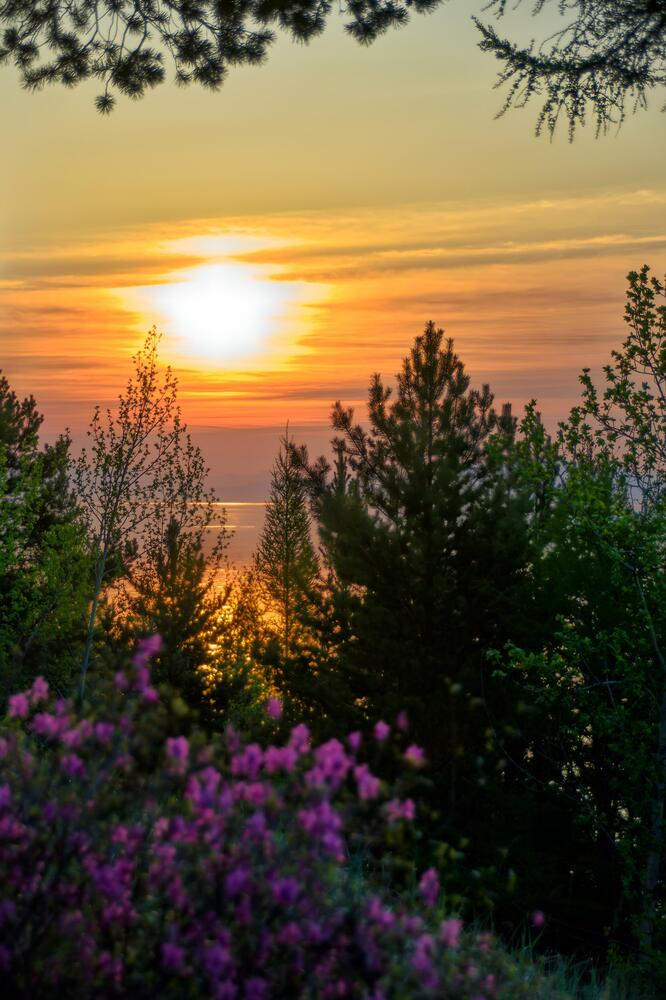 Photograph by Виктория Лобанова