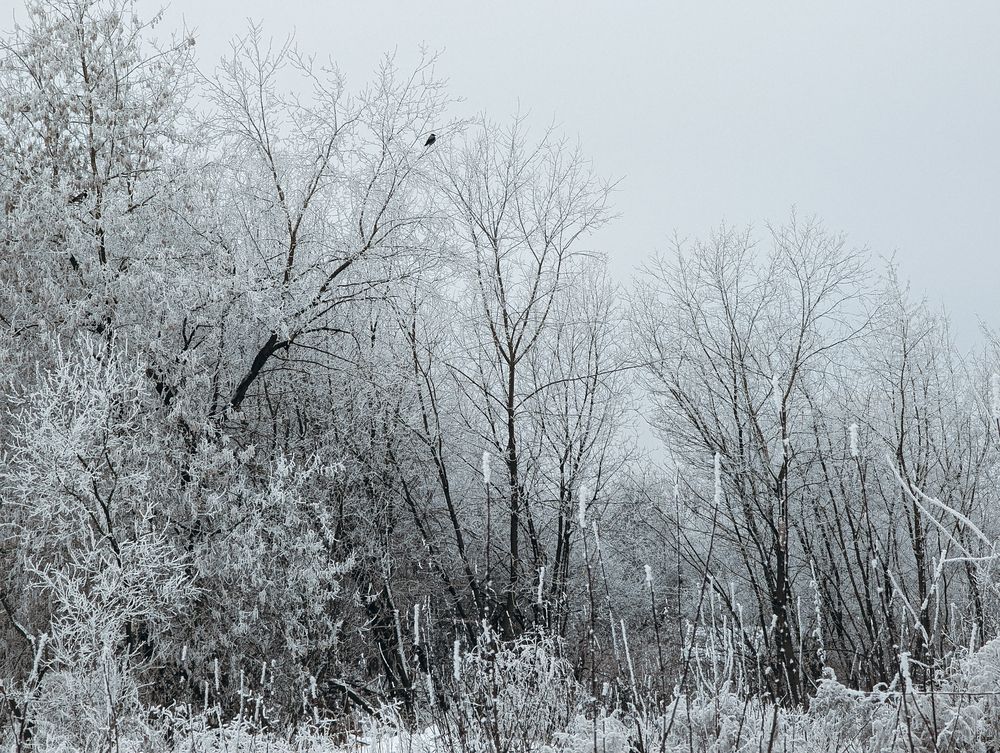 Photograph by Софья Титова