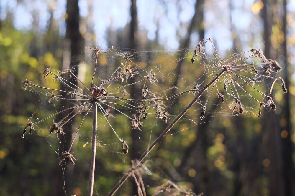 Photograph by Вадим Зрюев