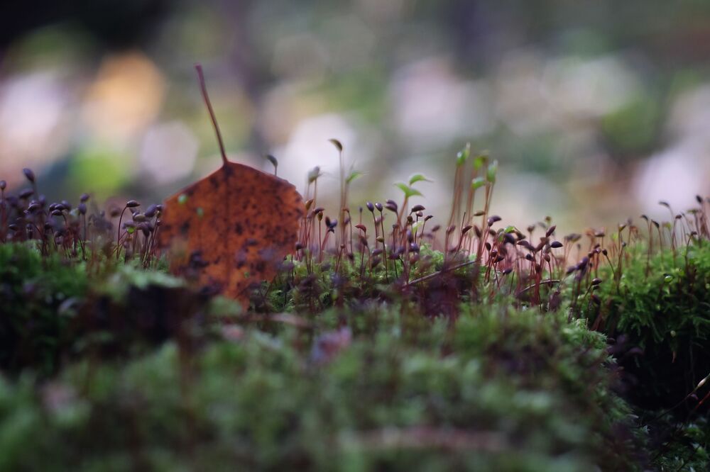 Photograph by Вадим Зрюев