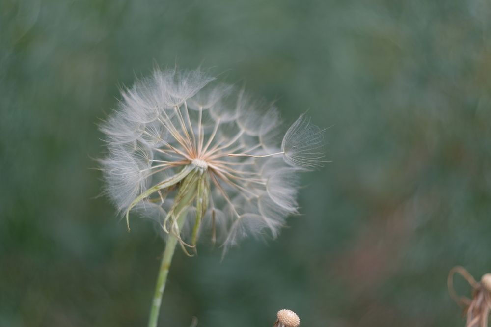 Photograph by Вадим Зрюев