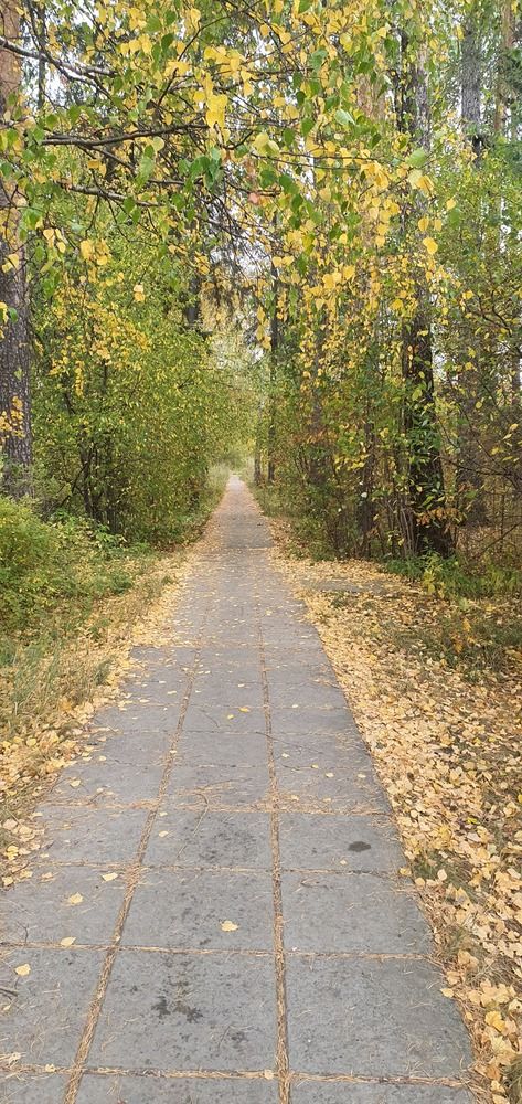 Photograph by Александр Щекотуров