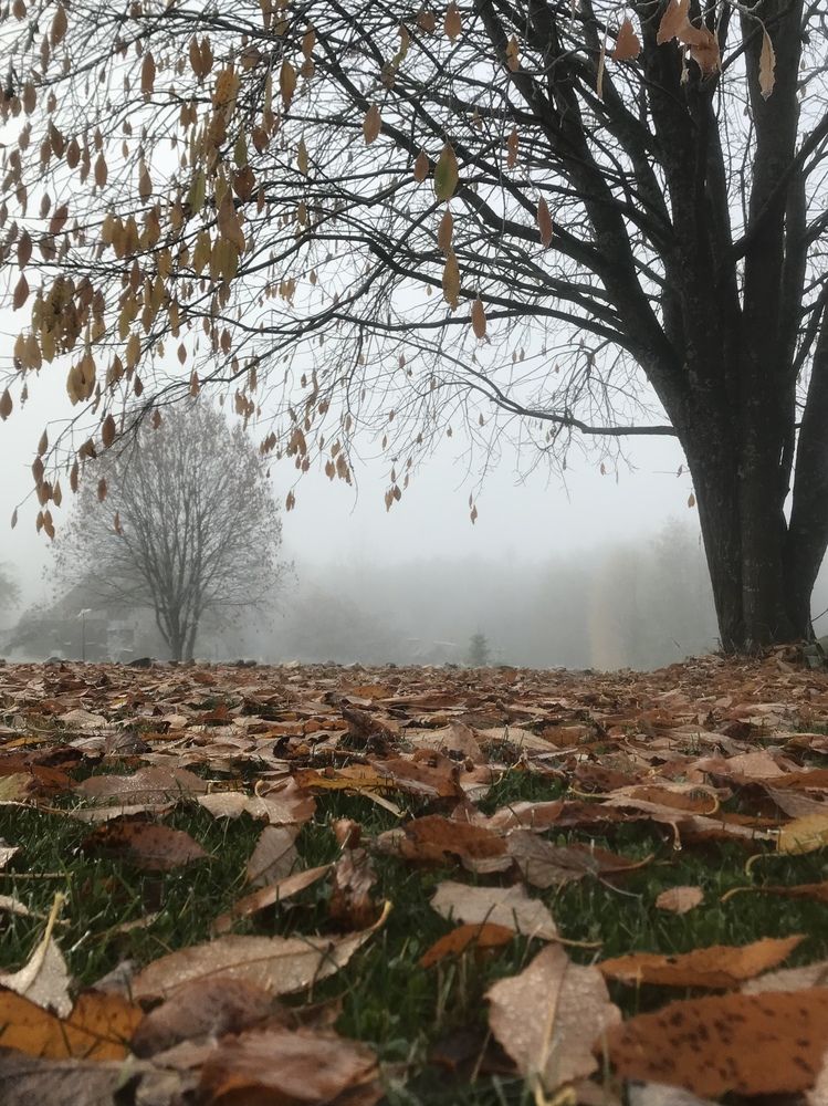 Photograph by Анна Алякина