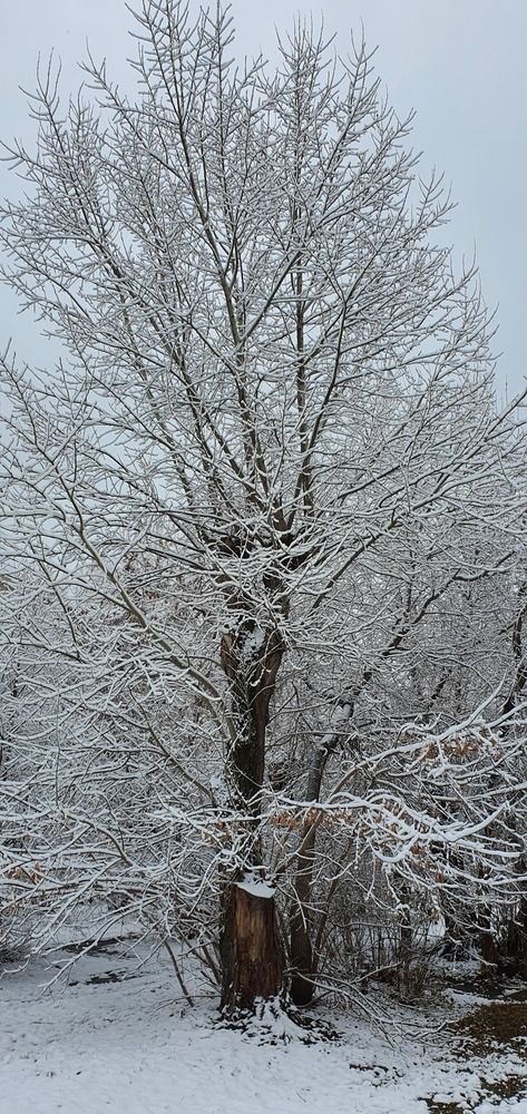 Photograph by Александр Щекотуров