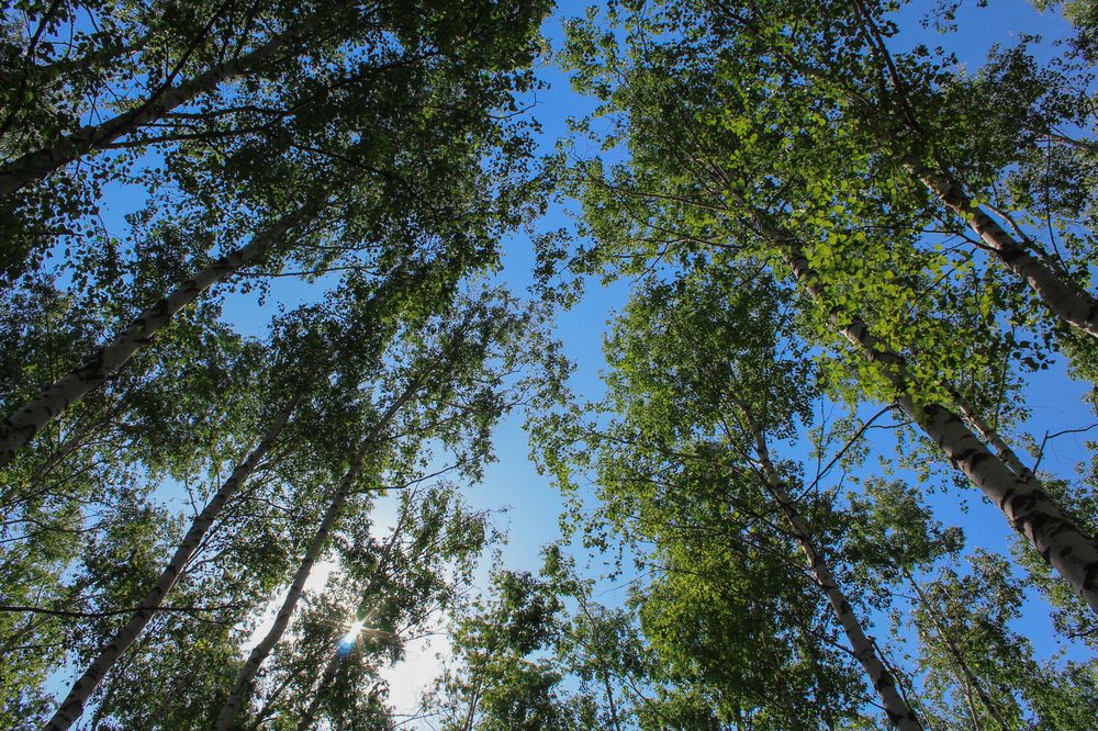 Photograph by Анна Зайченко