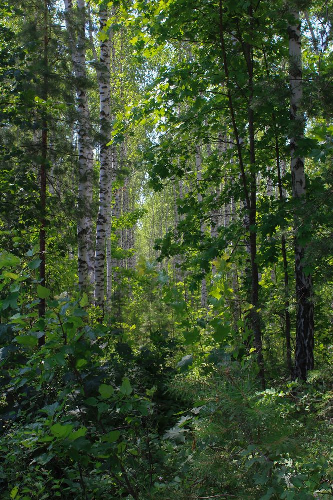 Photograph by Анна Зайченко