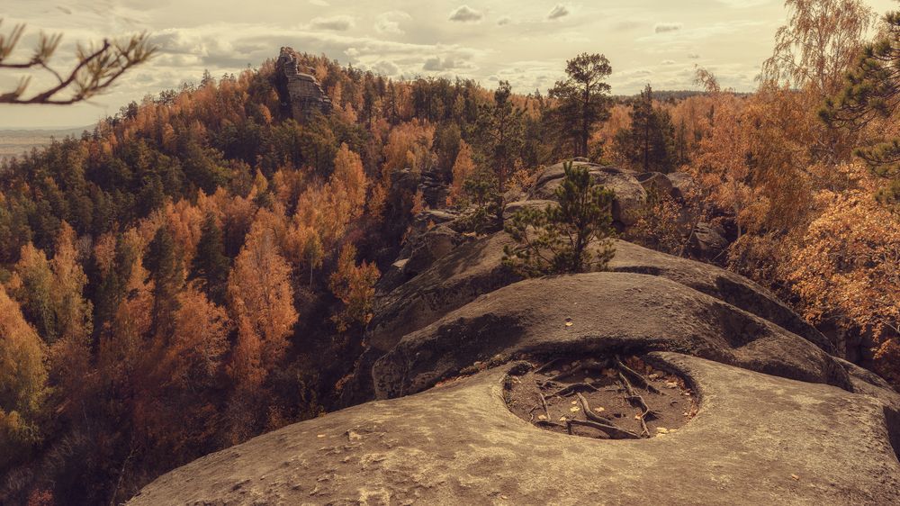 Photograph by Дмитрий Лоскутов