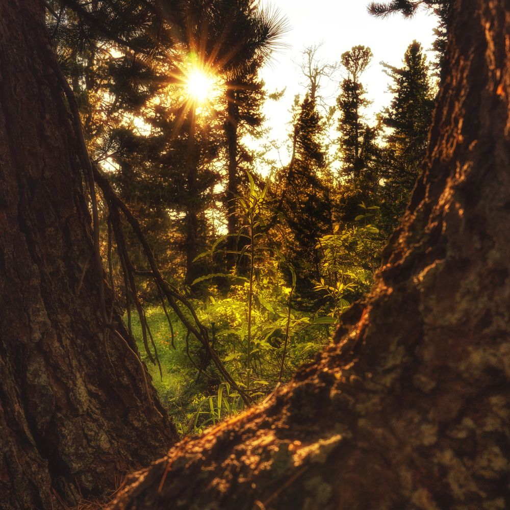 Photograph by Дмитрий Лоскутов