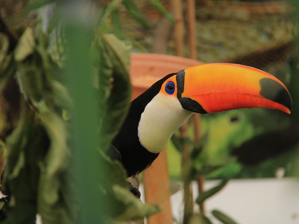 Photograph by Franco Acevedo