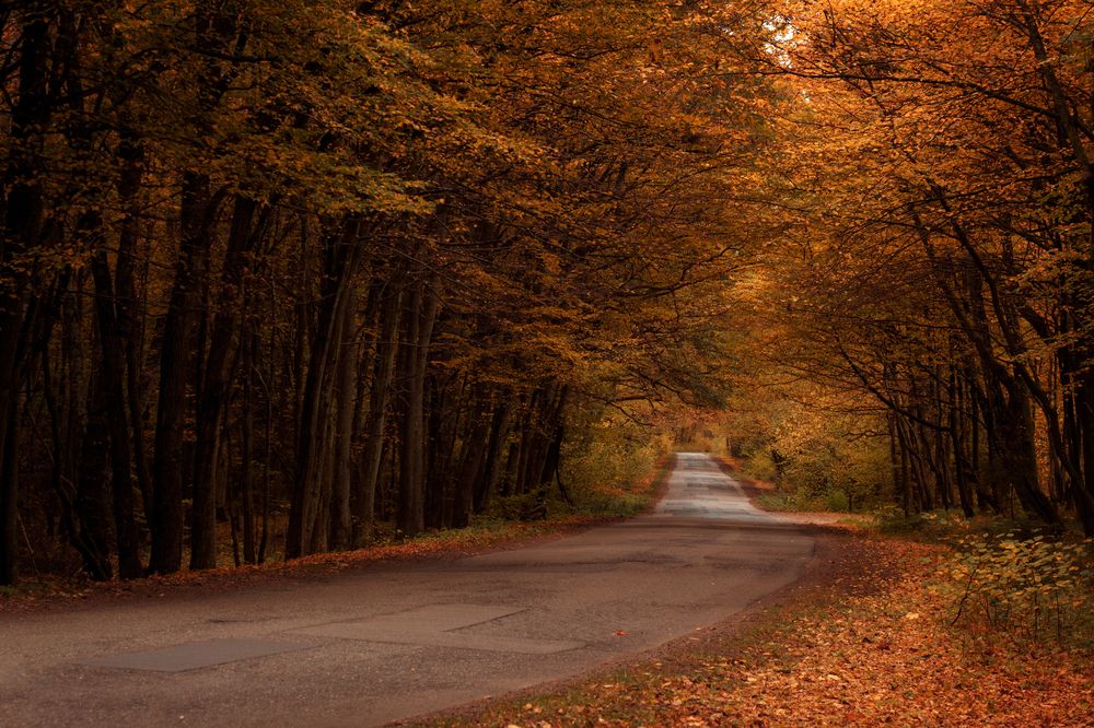 Photograph by Дмитрий Лоскутов