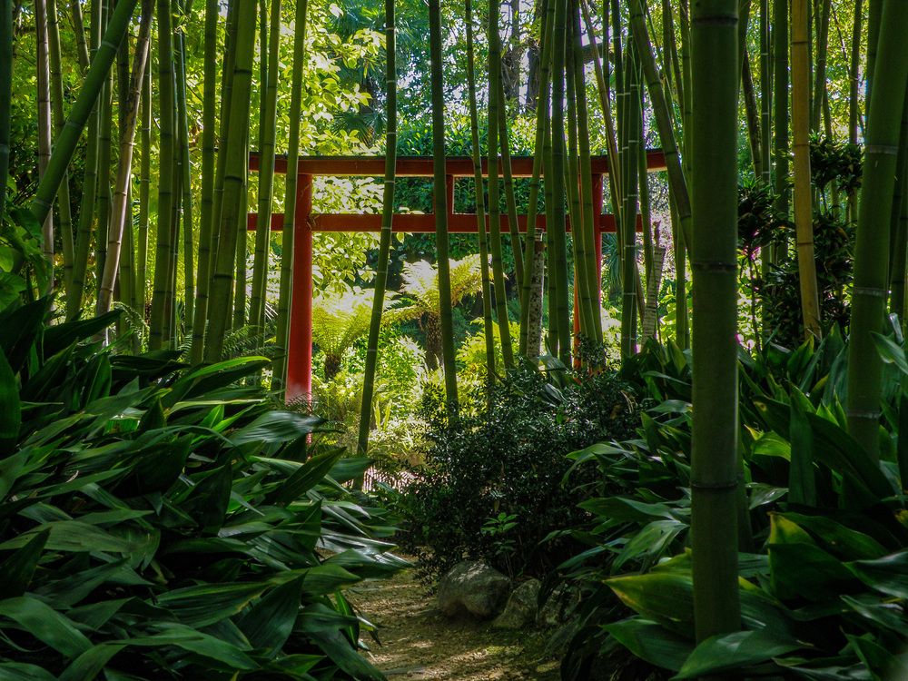 Фотография автора Angelo Dolci