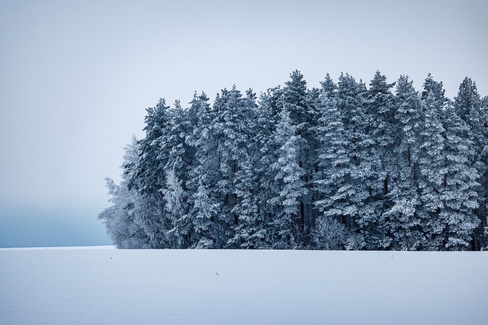 Photograph by Сергей Шестов