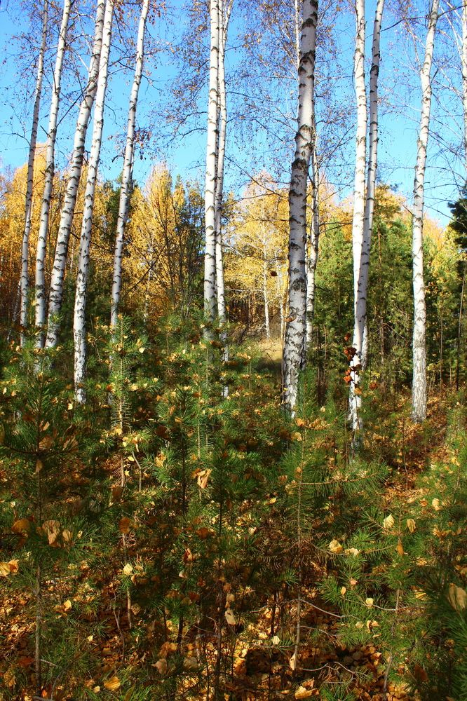 Photograph by Анна Зайченко