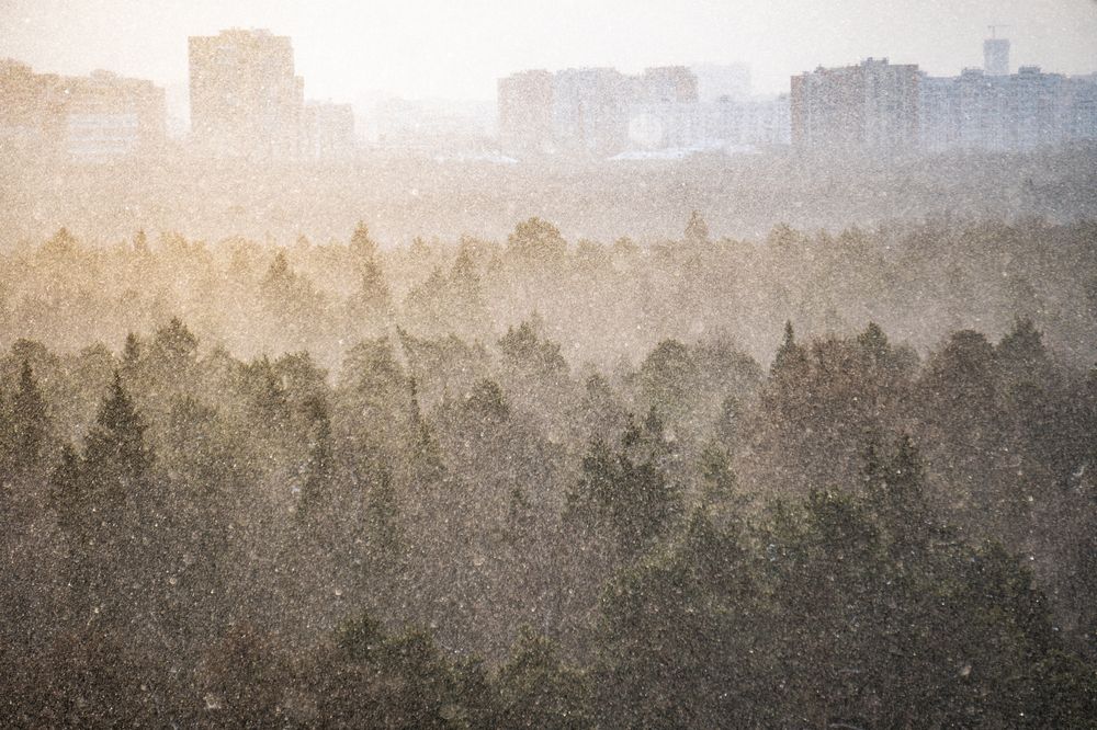 Photograph by Lisa Buzova