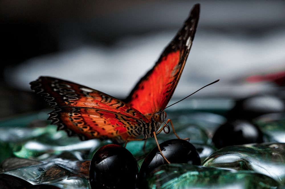 Photograph by Наталья Максимова