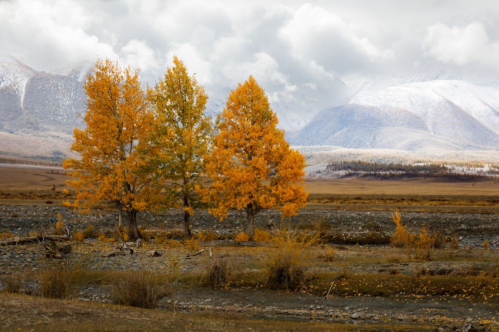 Photograph by Мария Казакова