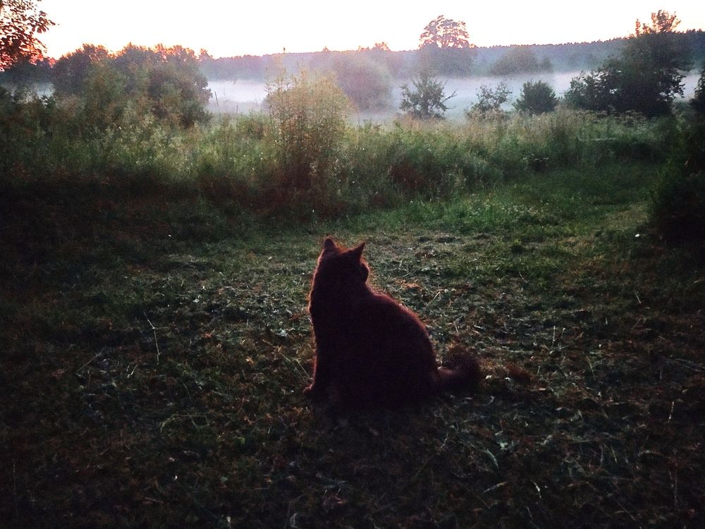 Photograph by Tatsiana Khinevich