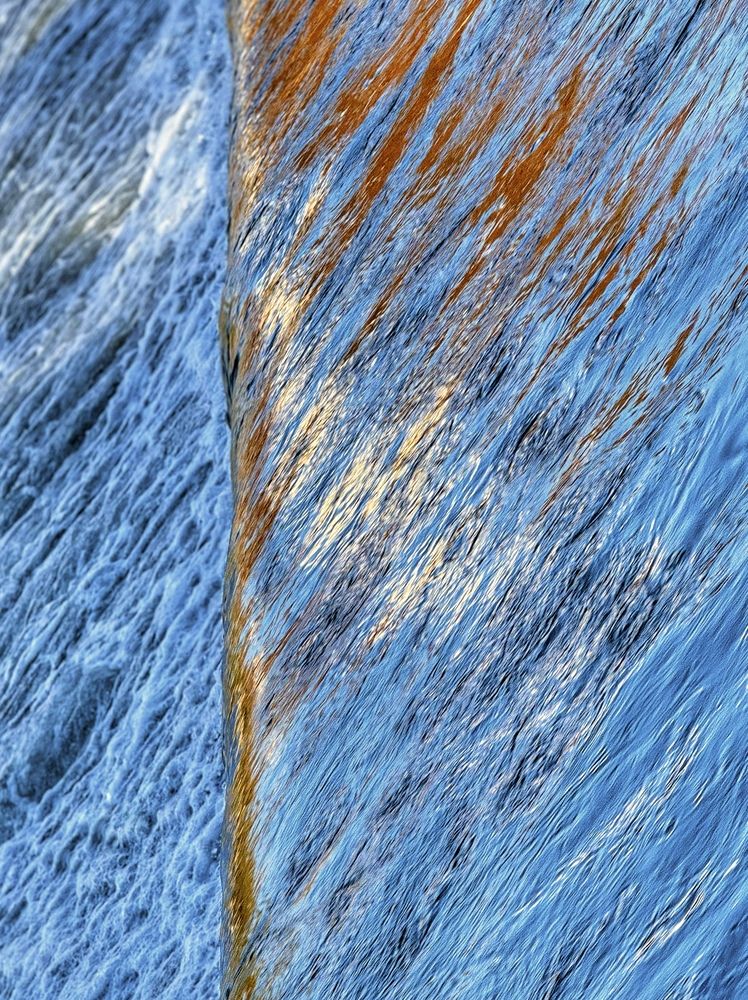 Photograph by Шарова Ольга