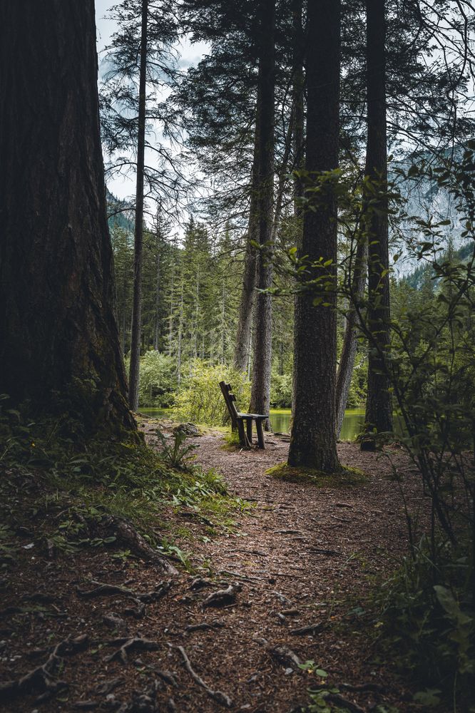 Photograph by MANSOUR ALOBAIDI