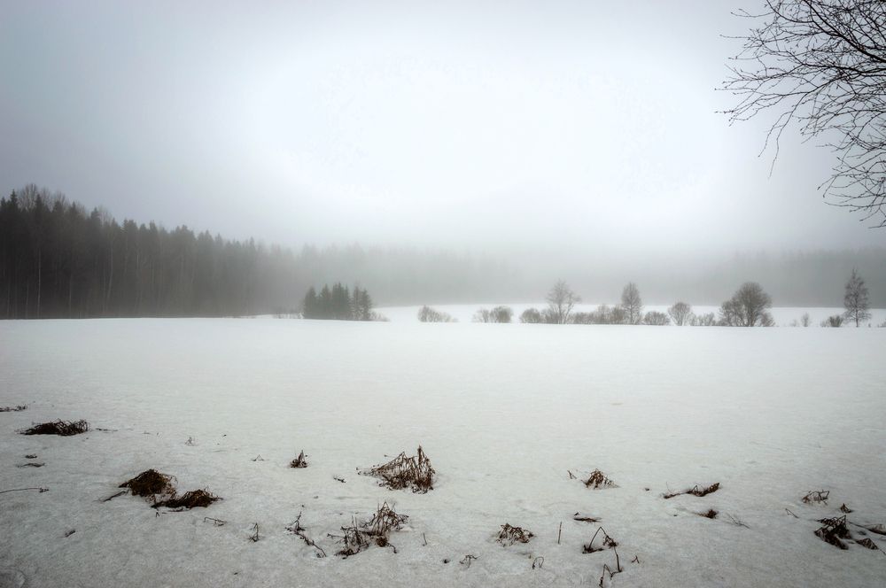 Photograph by Олег Менакер