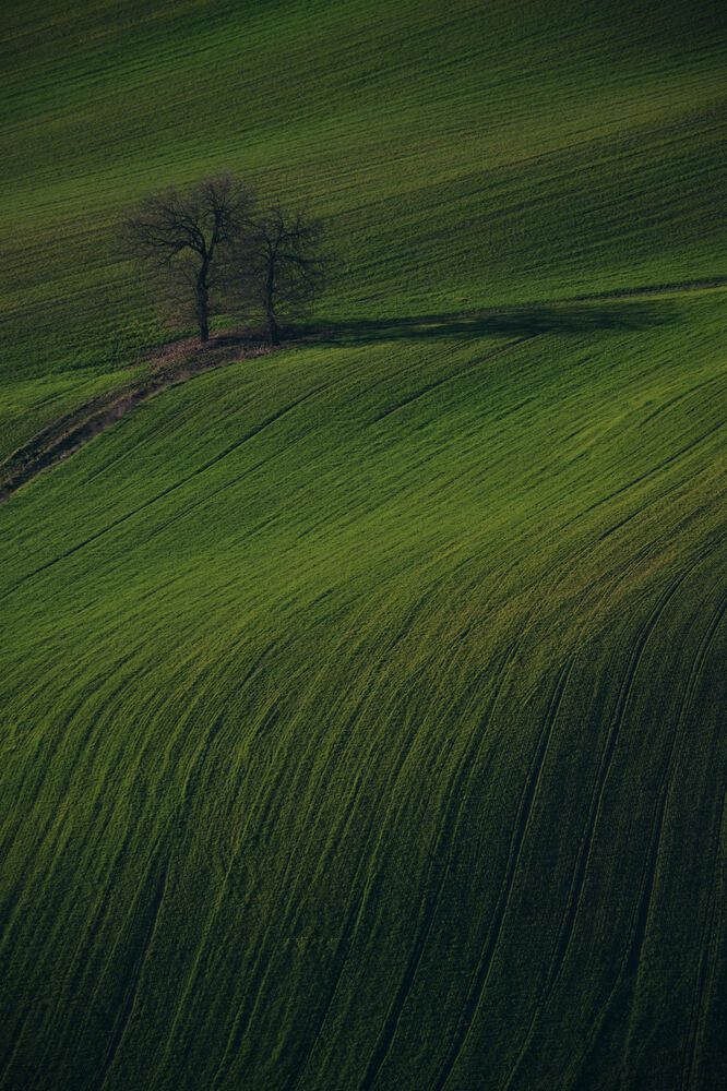 Photograph by Cristian Bertolini