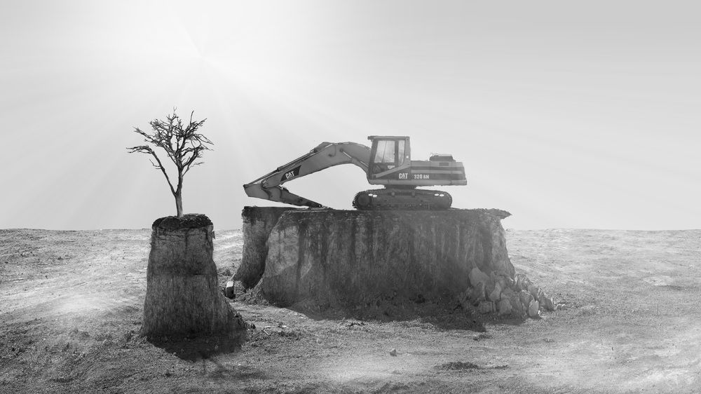 Фотография автора Bazart Factory