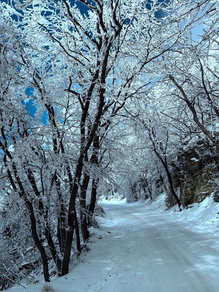 Photograph by Igor M.