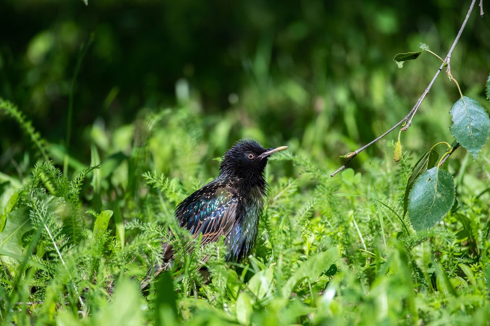 Photograph by Вадим Брыль