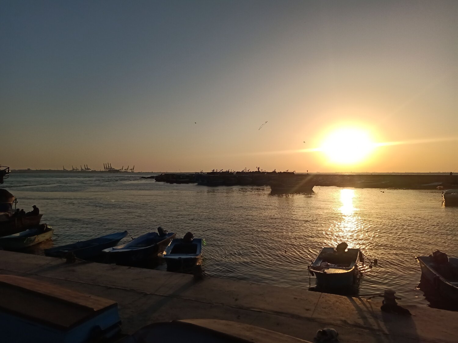 Photo #11844724