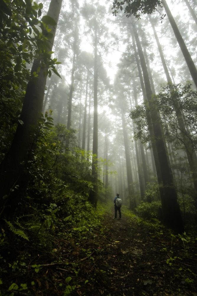 Фотография автора Bui Hoang Giang