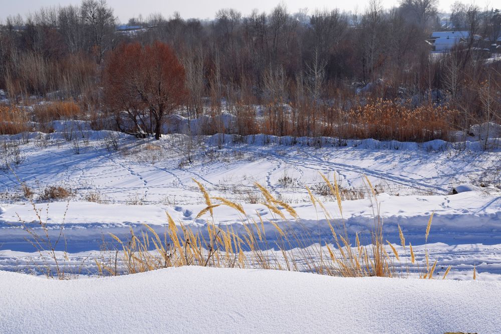 Photograph by  Татьяна Дорожко