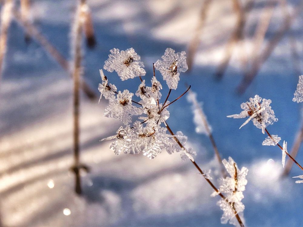 Фотография автора Екатерина Солохина