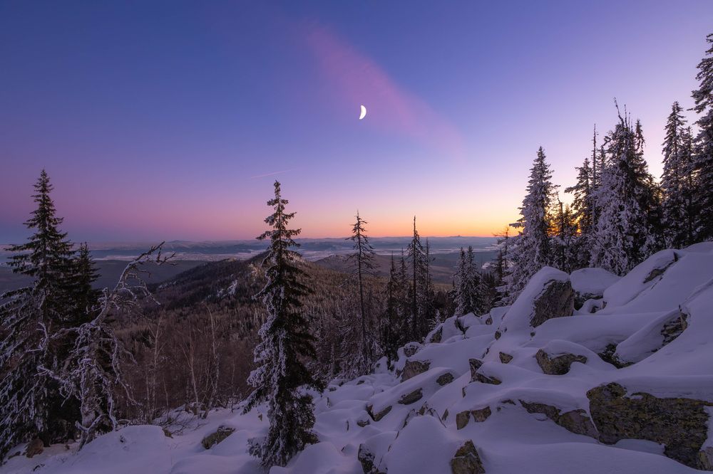 Photograph by Манаков Илья