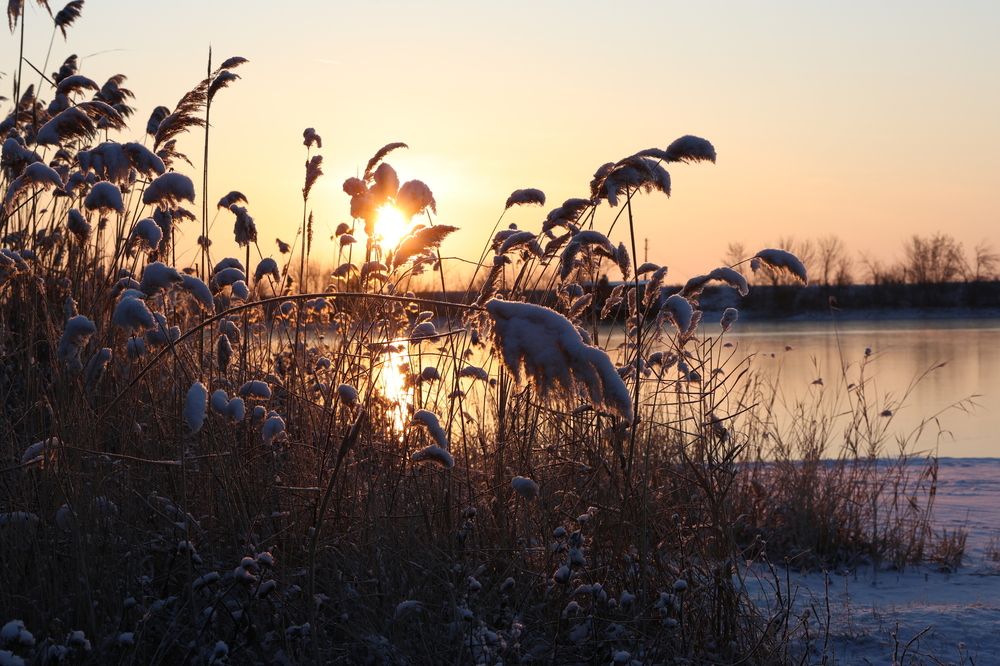 Photograph by Вячеслав Капцов