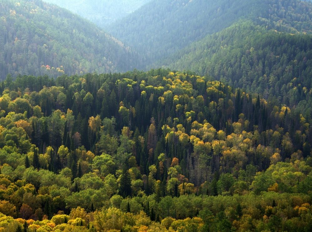 Photograph by Андрей Давыдов