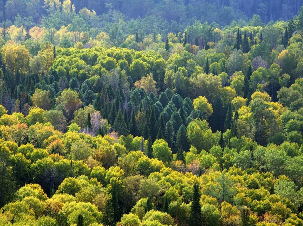 Photograph by Андрей Давыдов