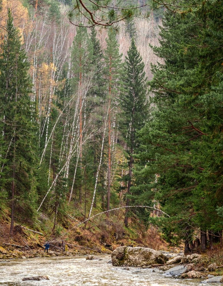 Photograph by Андрей Давыдов