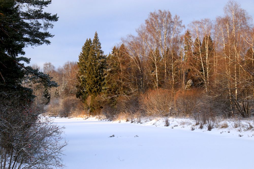 Зимние краски