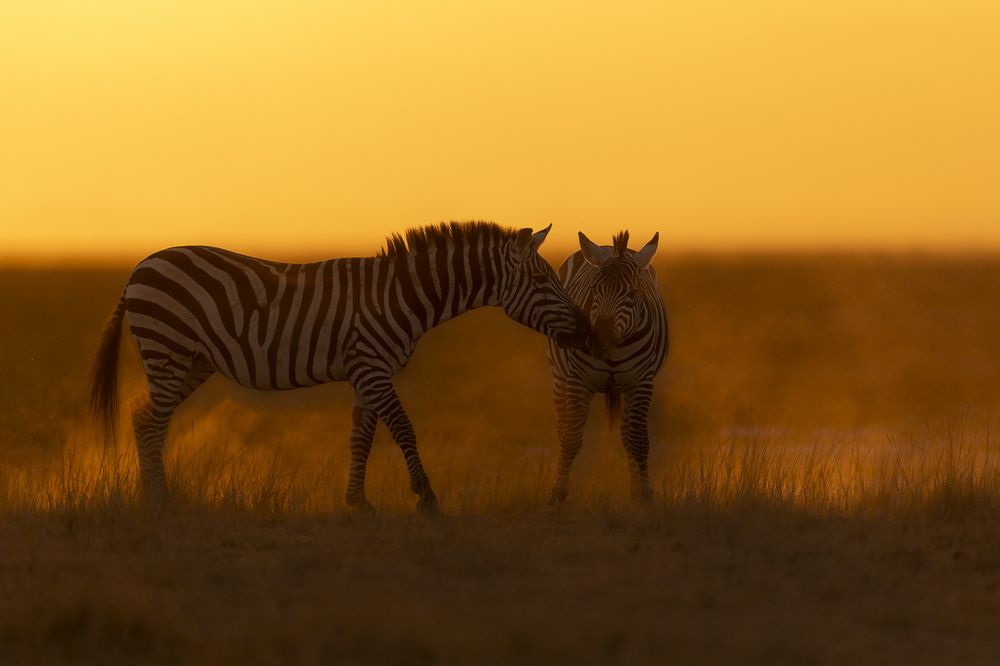 Photograph by Pothanis Sudhir