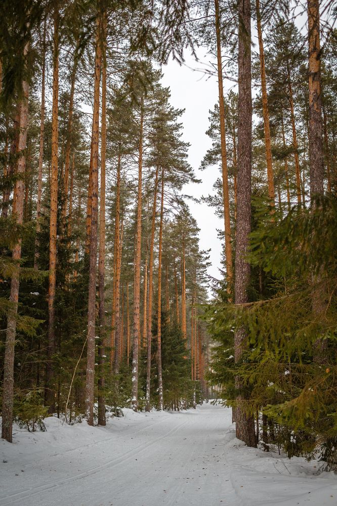 Photograph by Олег Филипенко