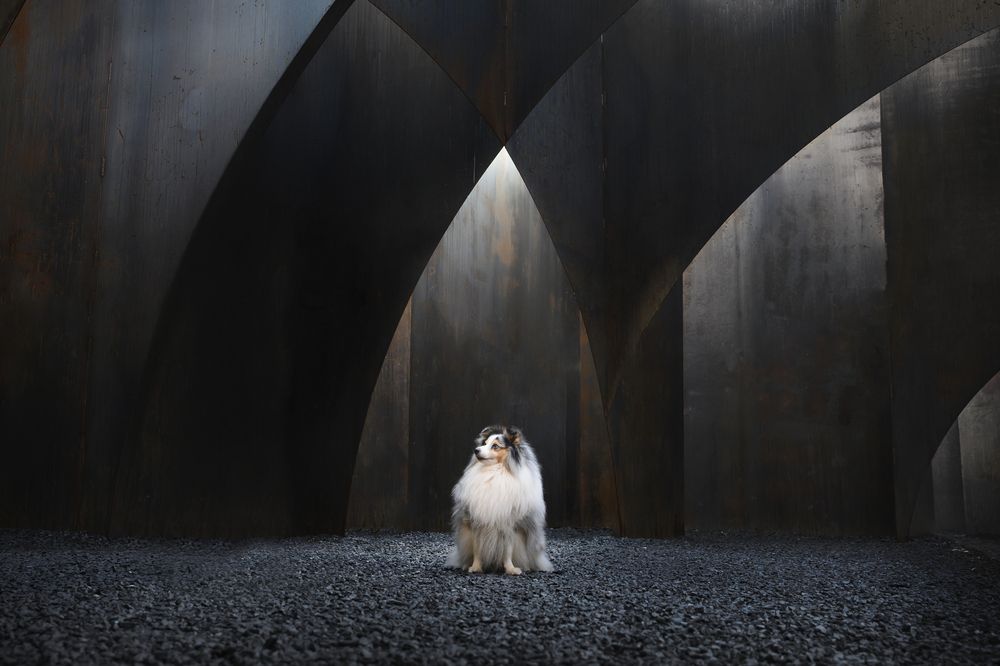 Photograph by Decoodt Els