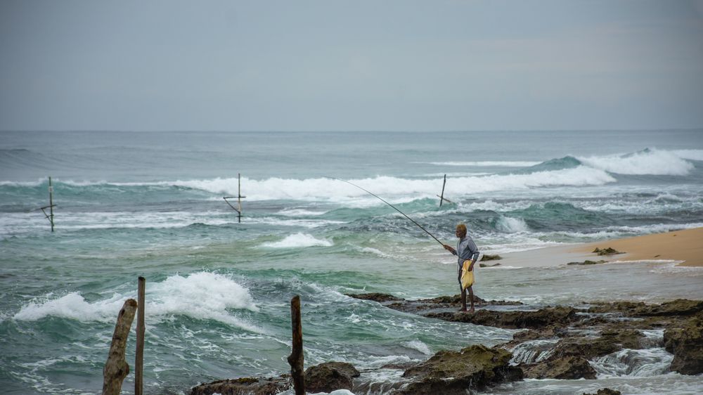 Photograph by Shehan Dondeenu