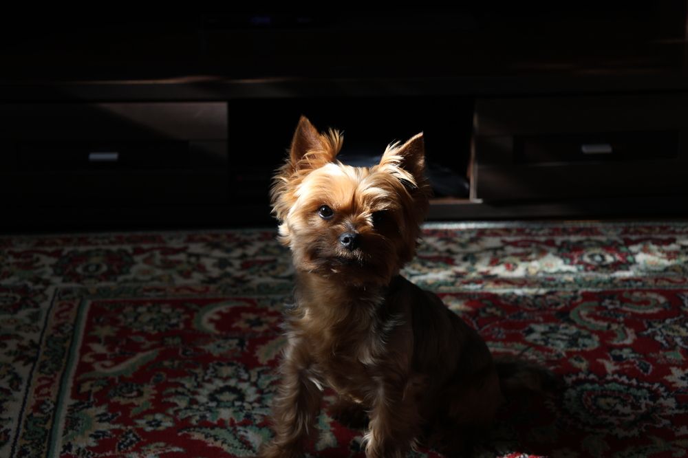 Photograph by Вячеслав Капцов