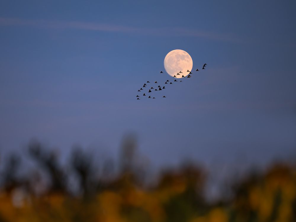 Photograph by Ilona Rosenkrancová