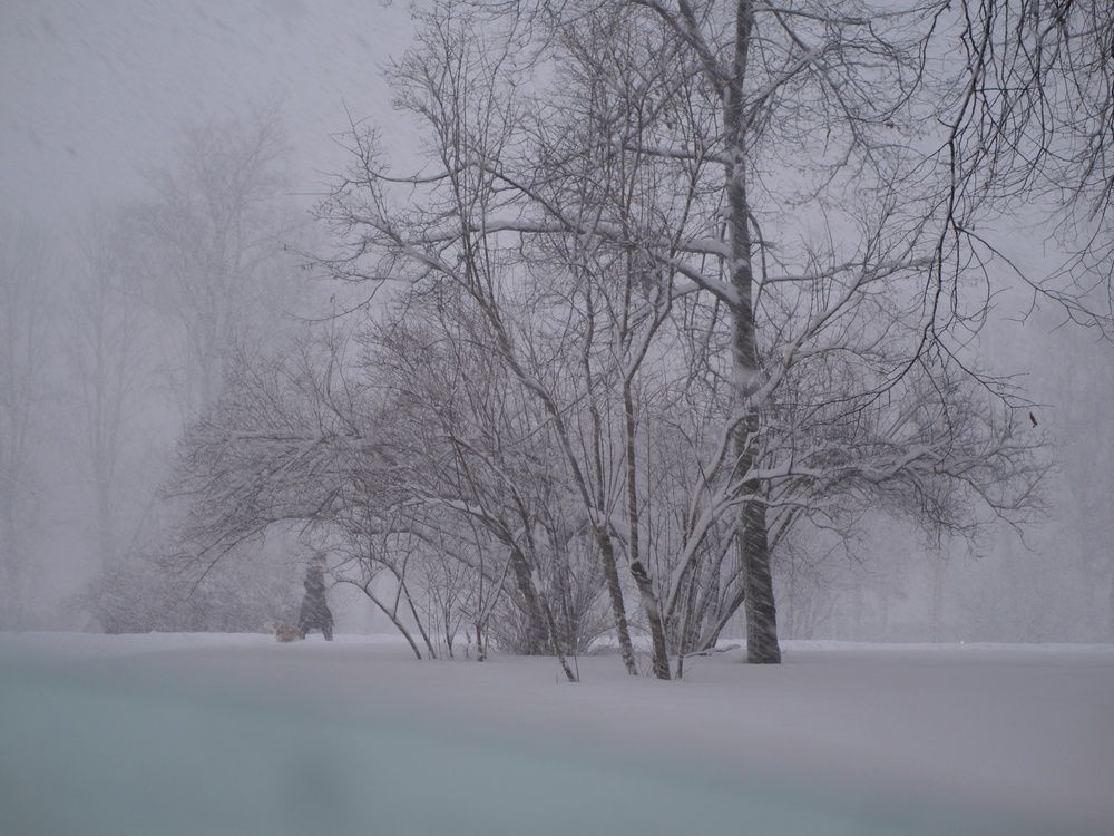 Зимняя пора