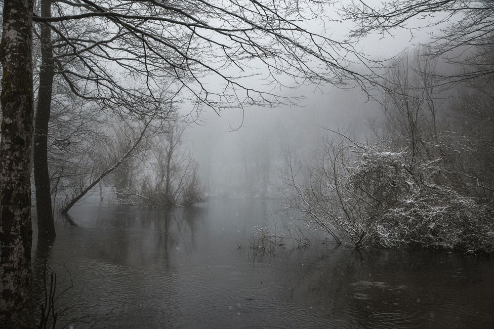 Photograph by Анна Демичева