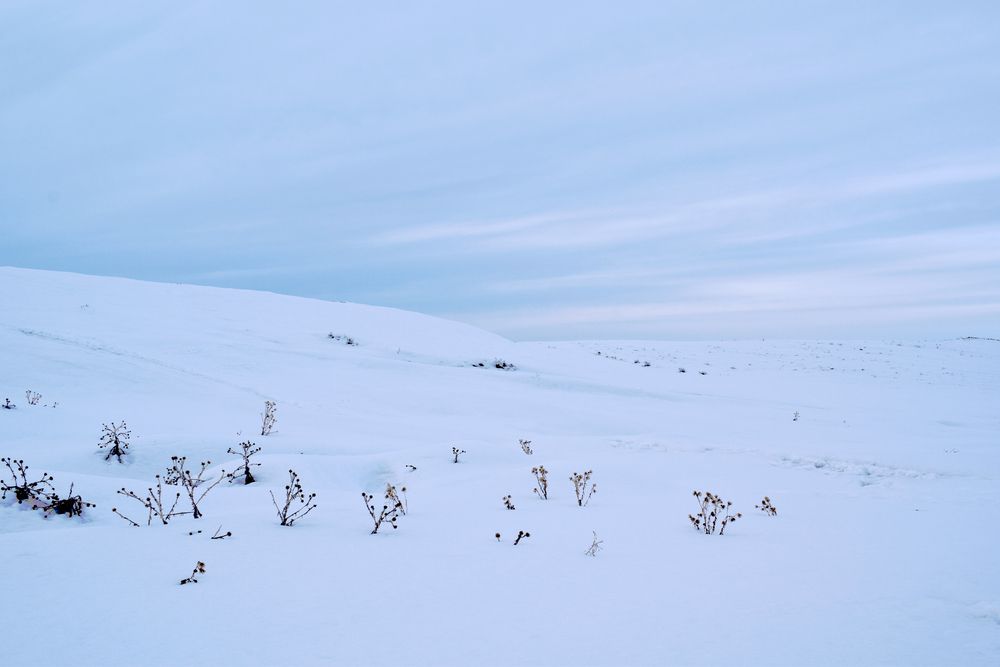 Photograph by  Татьяна Дорожко