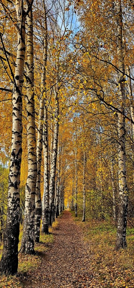 Photograph by Свиденцов Михаил